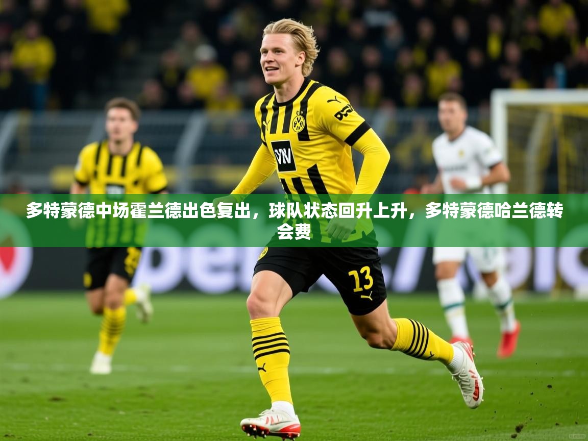 多特蒙德中场霍兰德出色复出,球队状态回升上升,多特蒙德哈兰德转会费 多特蒙德中场霍兰德出色复出,球队状态回升上升,多特蒙德哈兰德转会费