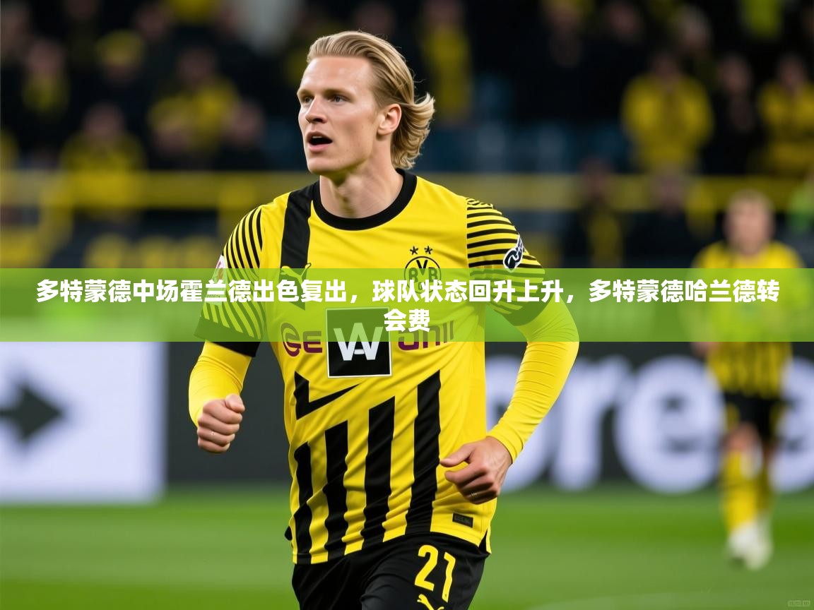 多特蒙德中场霍兰德出色复出,球队状态回升上升,多特蒙德哈兰德转会费 多特蒙德中场霍兰德出色复出,球队状态回升上升,多特蒙德哈兰德转会费